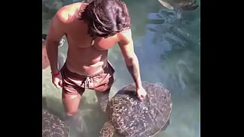 If I Were A Turtle, I’d Bite His Dick Off!