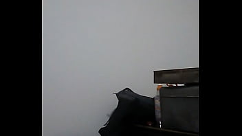 Lonely Sissy Craves Dominant Encounter