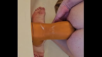 Sea Lion Xl Takes Me Hard Doggy Style