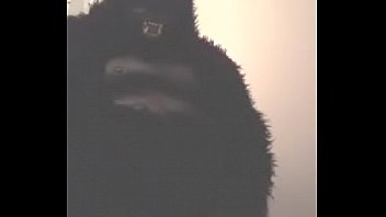 Gorilla King’s Wild Desire