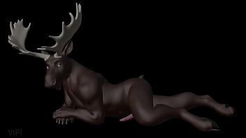 Horny Moose Furry Sex Compilation