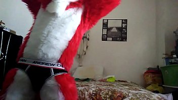 Dancing Fox Teases With Sensual Moves