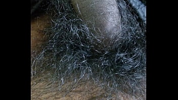 Desi Dick