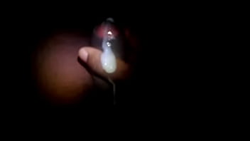 Desi Tribute Explosion
